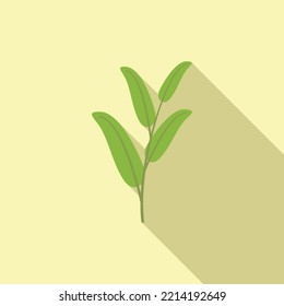 Aromatic Sage Icon Flat Vector. Leaf Plant. Herb Flower