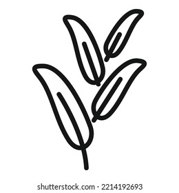 Aromatic Sage Icon Outline Vector. Leaf Plant. Herb Flower