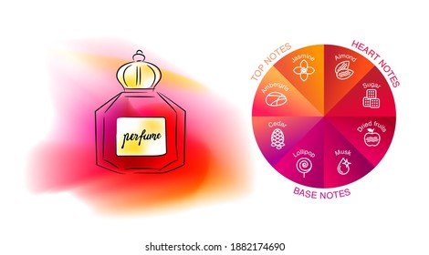 Aromatic structure notes guide for perfume, scent and aroma infographic. Top, heart, middle and base notes pyramid chart with examples of popular aroma essences. Fragrance icons.