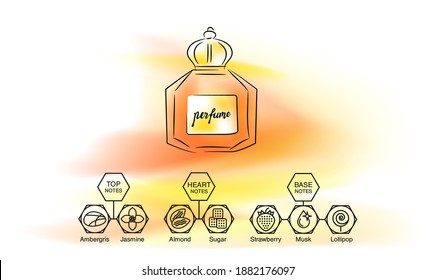 Aromatic structure notes guide for perfume, scent and aroma infographic. Top, heart, middle and base notes pyramid chart with examples of popular aroma essences. Fragrance icons.