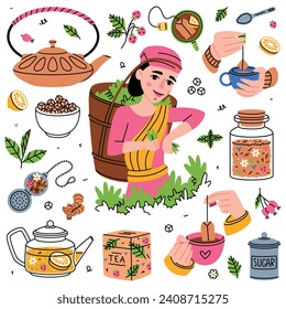 Aromatic Tea with Woman Gathering Leaf on Plantation and Brewing with Teabag, Hands Hold Mug with Hot Drink and Teapot Vector Set