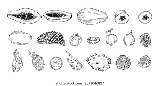 Aromatic tropical fruit mix hand drawn black and white vector illustration. Papaya, kiwano, carambola, maracuja , Pitahaya and mango fruits monochrome clip art. Food elements for summer decor.