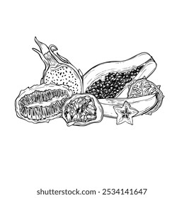 Metades tropicais aromáticas e fatias de fruta misturam a ilustração de vetor preto e branco desenhada à mão. Papaya, kiwano, carambola, maracuja , Pitahaya e frutas de manga composição monocromática para decoração de verão