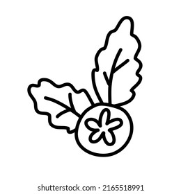 Berry de Aronia, guinda. Dibujo del doodle vectorial.