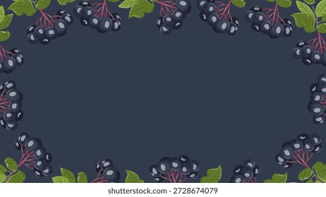 Aronia vector background with dark berries and green leaves. Elegant botanical fruit frame on dark backdrop for web design, food ads, packaging and seasonal layouts.