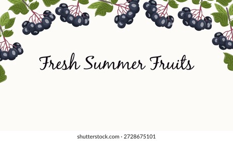 Aronia vector banner with dark berries and green leaves. Cartoon botanical fruit frame on white background for web design, food ads, packaging and seasonal layouts.