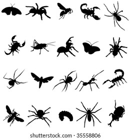 Around the world in all types of insects