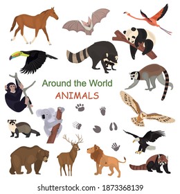 Around the world animals collectiom color flat icons set