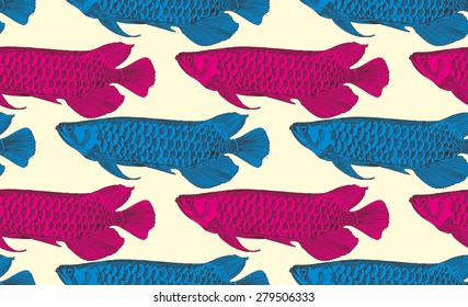 arowana