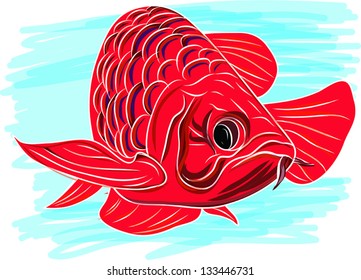 arowana fish