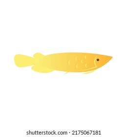 Arowana fish icon template vector design