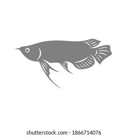 Arowana fish logo vector template, Creative Arowana fish logo design concepts, icon symbol, illustration