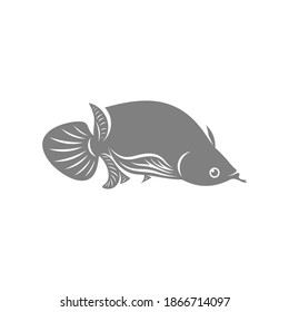 Arowana fish logo vector template, Creative Arowana fish logo design concepts, icon symbol, illustration