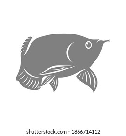 Arowana fish logo vector template, Creative Arowana fish logo design concepts, icon symbol, illustration