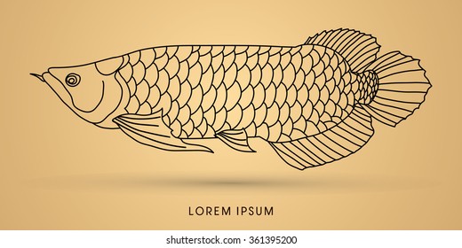 Arowana Fish, Outline graphic vector.