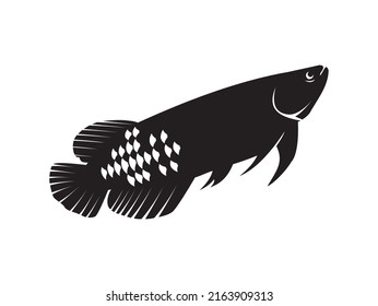 arowana fish silhouette. vector image
