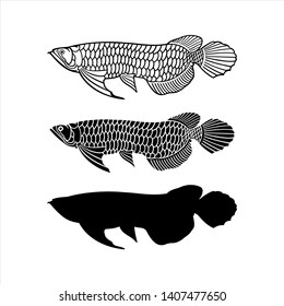 Arowana fish vector icon shillouette