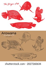 Arowana fish vector illustration. Dragonfish illustration for fish breeder logo, tattoo, hobbies, and fish lover   