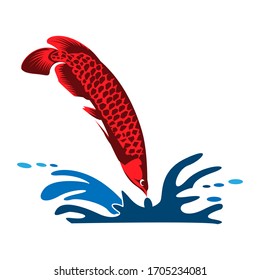 Arowana fish vector. Vector Illustration on white background