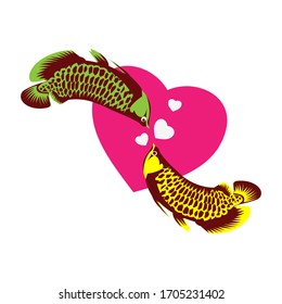 Arowana fish vector. fish and love. Vector Illustration on white background