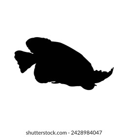 arowana fish vector silhouette design