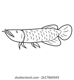arowana illustration hand drawn outline vector