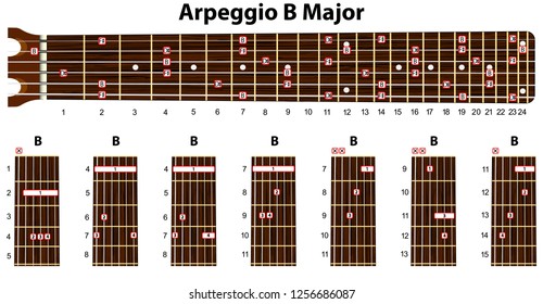 B Major Guitar Chord Chart