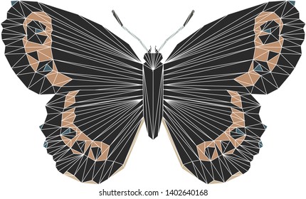 Arran Brown Butterfly in a symmetrical geodesic design