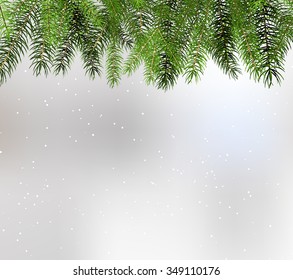 Arranged Green Fir Tree Branches - Fir Branch Illustration with Copy Space for Own Design. Greeting Card Christmas Background Template.