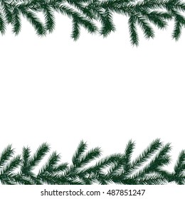 Arranged Green Fir Tree Branches
