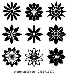 An arrangement of black and white flowers against a white backdrop