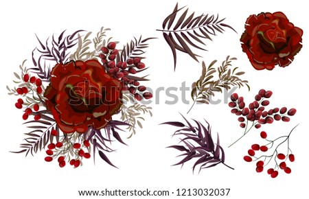 Arrangement of burgundy roses and dark plants. Set of elements for design. Plants purple color. All elements are isolated.