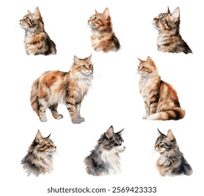 Arrangement of cat watercolor paintings, watercolor paintings of various cat heads, domestic cats, civet cats