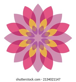 Arrangement of flower petals in concentric visualization