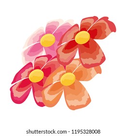 arrangement flowers decoration ornament isolated