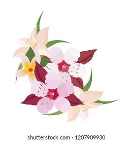 arrangement flowers leaves petal natural