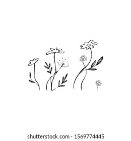 Arrangement of flowers, painted branches and translated into vector. Flower set. Decor element