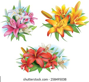 117,371 Lily flower Stock Vectors, Images & Vector Art | Shutterstock