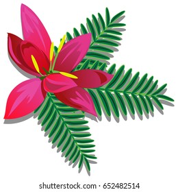 Arrangement of pink petals flowers and fern leaves isolated on white background. Vector cartoon close-up illustration.
