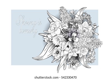 arrangement of primroses .vector composition of spring  flowers for design of postcards, brochures, banners, flyers, gift certificate, voucher