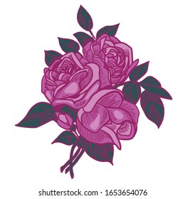 Arrangement of roses, purple color