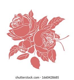 Arrangement of roses, silhouette, color