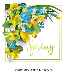 an arrangement of spring flowers -- daffodils,snowdrops,anemones   for design of postcards, brochures, banners, flyers,isolated, on a plane surface, vector illustration