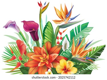 Arrangement from tropical flowers and leafs Floral vector illustration