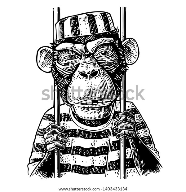 捕虜の衣を着た猿がバーを持つ 自由な手書きの文字で生まれた ビンテージ黒の彫刻イラスト のベクター画像素材 ロイヤリティフリー