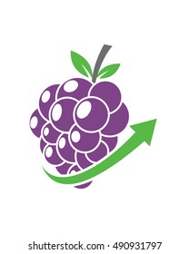 Arrow Berry