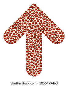 Arrow Direction collage of tomato vegetables. Vector tomato objects are organized into arrow direction pattern. Healthy vector illustration.