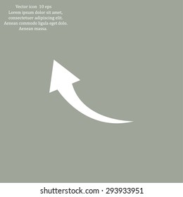 arrow indicates the direction. icon. vector design