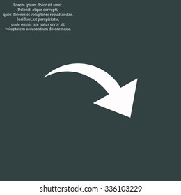 arrow indicates the direction. icon. vector design