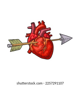 Arrow pierced the heart. Vector color vintage engraving illustration isolated on a white background. For web, poster, info graphic.
